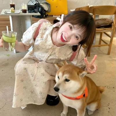 超完美社区